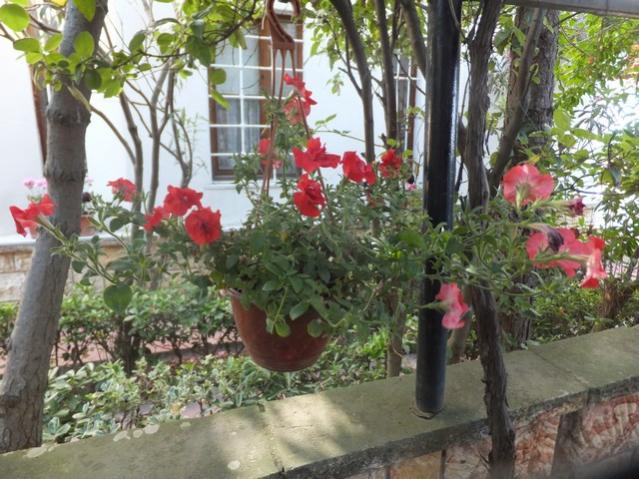 Name:  DSCF8219.jpg
Views: 186
Size:  65.6 KB
