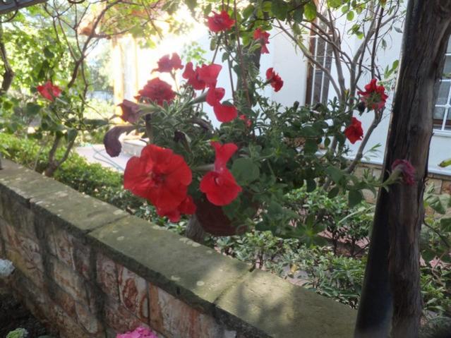 Name:  DSCF8220.jpg
Views: 194
Size:  61.4 KB