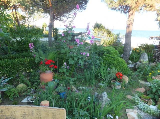 Name:  DSCF8236.jpg
Views: 353
Size:  64.9 KB