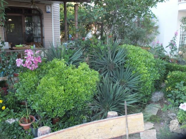 Name:  DSCF8239.jpg
Views: 364
Size:  68.7 KB