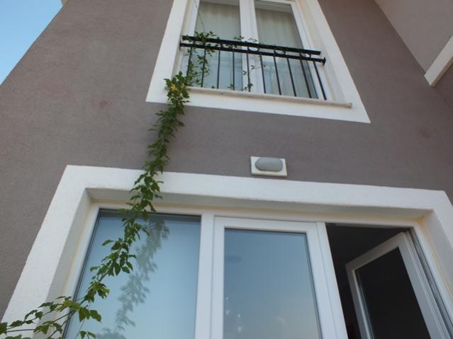 Name:  DSCF2063.jpg
Views: 357
Size:  30.7 KB