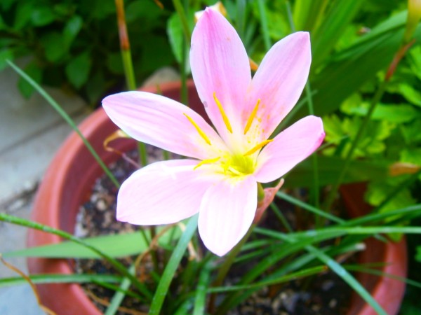 Name:  zpkt.jpg
Views: 790
Size:  56.5 KB