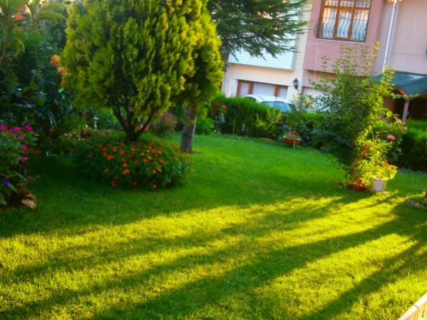 Name:  genel1.jpg
Views: 790
Size:  57.4 KB
