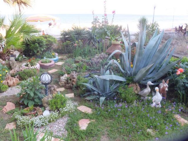 Name:  DSCF8242.jpg
Views: 337
Size:  60.7 KB