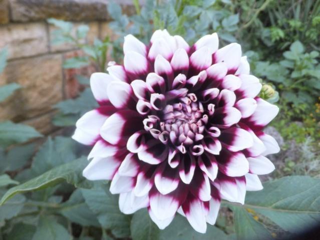 Name:  DSCF8245.jpg
Views: 284
Size:  43.6 KB