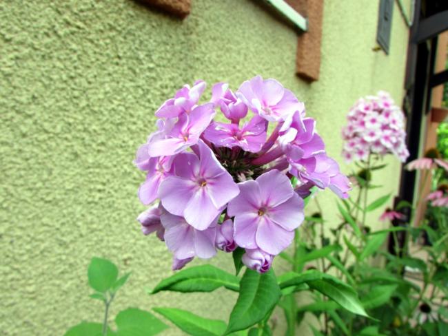 Name:  IMG_8746.jpg
Views: 432
Size:  52.2 KB
