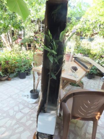 Name:  DSCF8331.jpg
Views: 266
Size:  33.4 KB