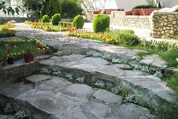 Name:  IMG_2261.jpg
Views: 1391
Size:  49.7 KB