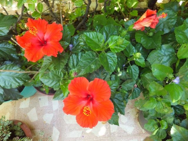Name:  DSCF8494.jpg
Views: 184
Size:  57.7 KB