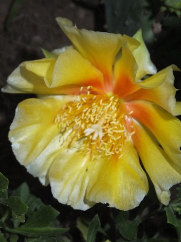 Name:  DSCF8628.jpg
Views: 167
Size:  47.8 KB