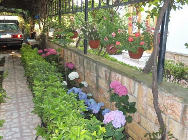 Name:  DSCF8659.jpg
Views: 365
Size:  65.4 KB