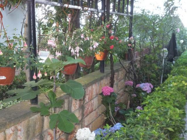 Name:  DSCF8664.jpg
Views: 347
Size:  62.2 KB