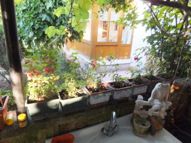 Name:  DSCF8666.jpg
Views: 352
Size:  62.2 KB