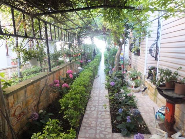 Name:  DSCF8668.jpg
Views: 358
Size:  69.5 KB