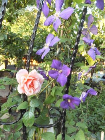Name:  DSCF8676.jpg
Views: 344
Size:  43.3 KB