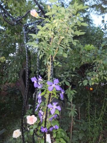 Name:  DSCF8677.jpg
Views: 352
Size:  42.5 KB