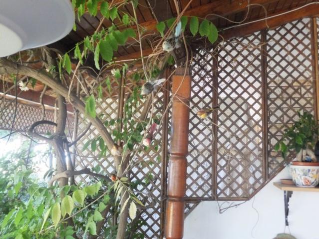 Name:  DSCF8707.jpg
Views: 344
Size:  67.5 KB