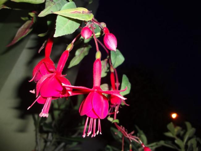 Name:  kp.jpg
Views: 907
Size:  32.0 KB