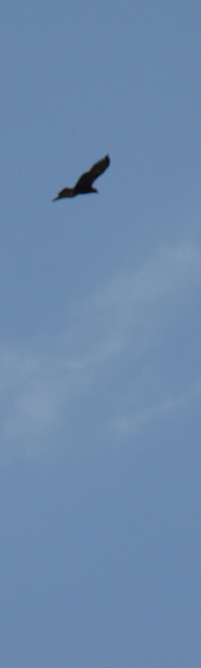 Name:  9.jpg
Views: 848
Size:  48.2 KB