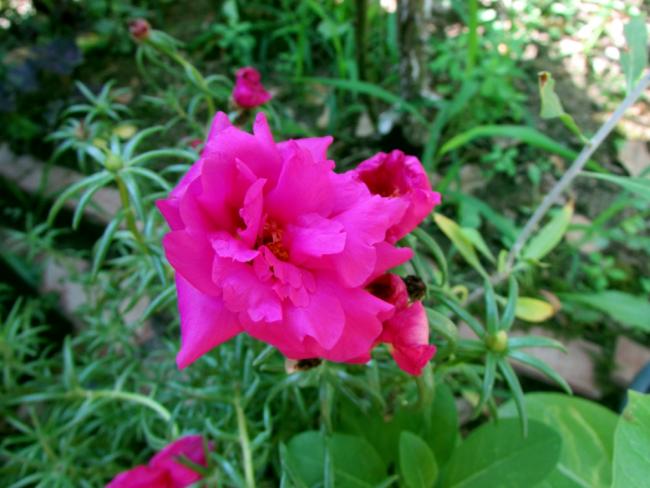Name:  IMG_9052.jpg
Views: 403
Size:  46.4 KB