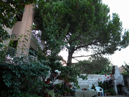 Name:  DSCN7510.JPG
Views: 2271
Size:  69.0 KB