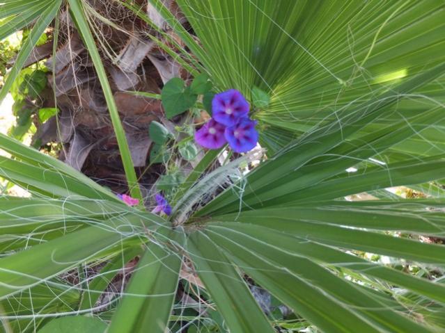 Name:  DSCF0804.jpg
Views: 237
Size:  57.9 KB