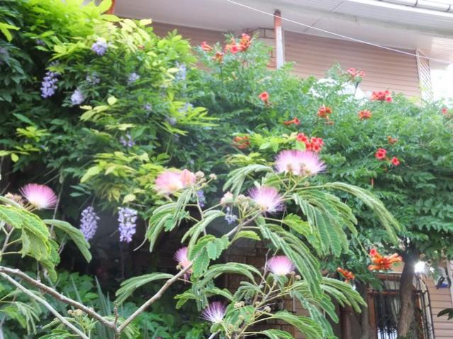Name:  DSCF8844.jpg
Views: 293
Size:  68.8 KB