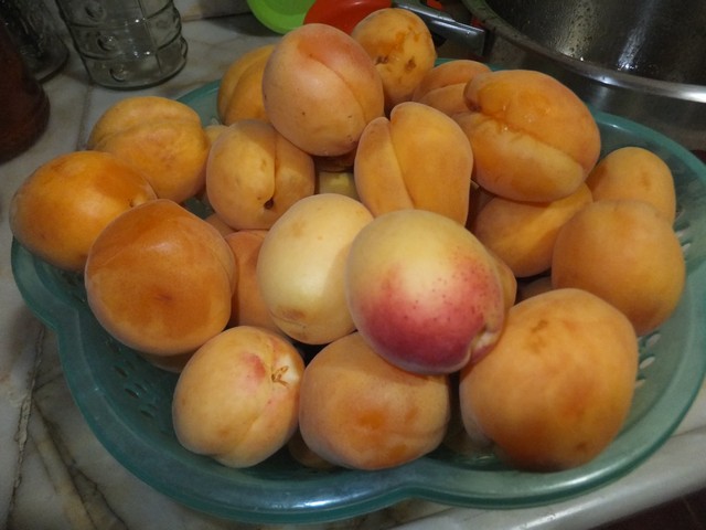 Name:  DSCF8715.jpg
Views: 258
Size:  69.1 KB