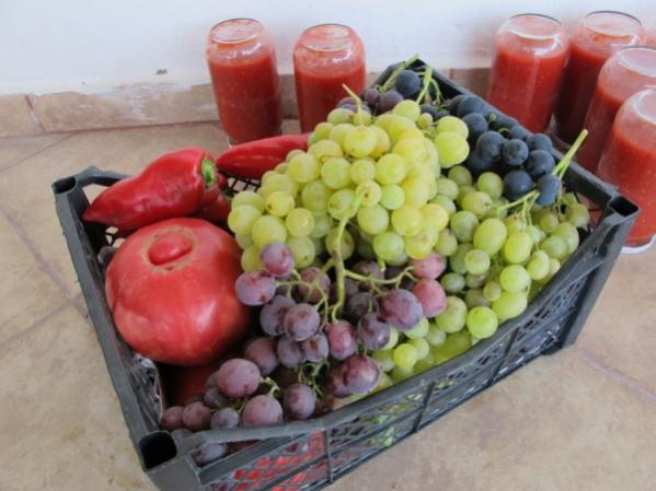 Name:  IMG_2909 (600 x 450).jpg
Views: 1030
Size:  39.5 KB