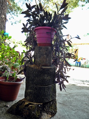 Name:  DSCN7691.JPG
Views: 2232
Size:  68.7 KB