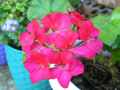 Name:  DSCN7382.JPG
Views: 2231
Size:  68.5 KB