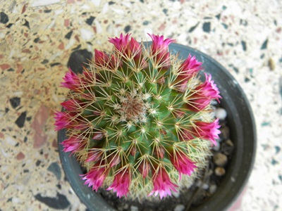 Name:  DSCN7001.JPG
Views: 2310
Size:  64.7 KB