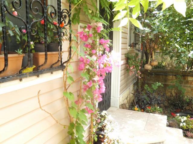 Name:  DSCF8901.jpg
Views: 260
Size:  60.8 KB