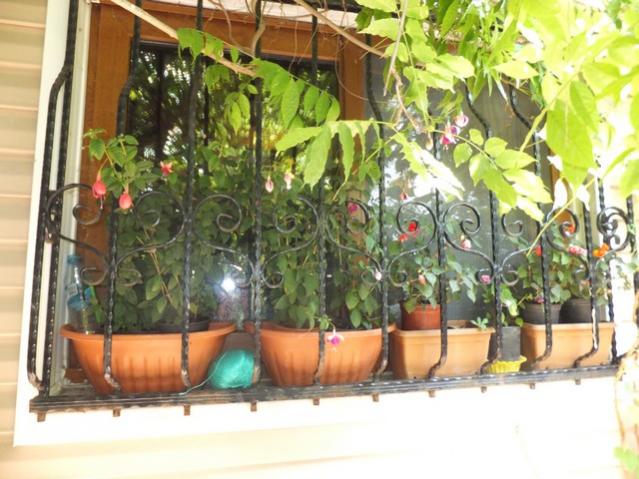 Name:  DSCF8902.jpg
Views: 226
Size:  56.6 KB