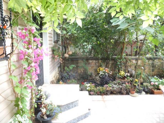 Name:  DSCF8905.jpg
Views: 373
Size:  66.1 KB