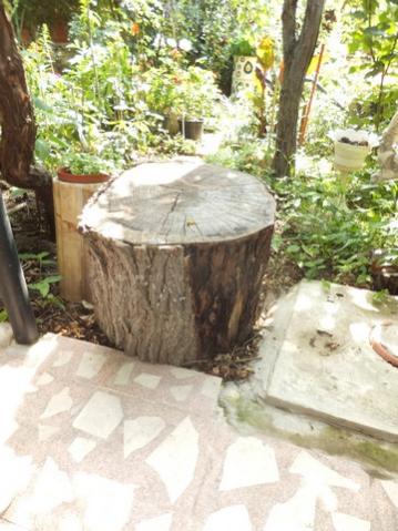 Name:  DSCF8913.jpg
Views: 211
Size:  37.7 KB