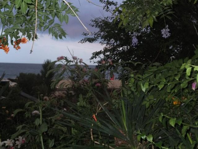 Name:  DSCF8927.jpg
Views: 221
Size:  50.4 KB
