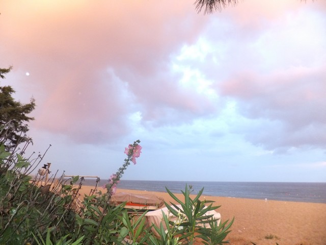 Name:  DSCF8949.jpg
Views: 214
Size:  65.4 KB