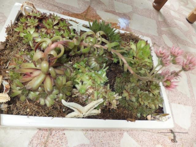Name:  DSCF9001.jpg
Views: 364
Size:  58.1 KB