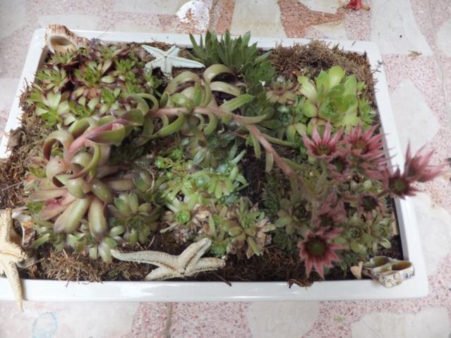 Name:  DSCF9002.jpg
Views: 361
Size:  56.6 KB