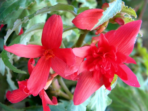Name:  DSCN7799.JPG
Views: 1211
Size:  68.0 KB