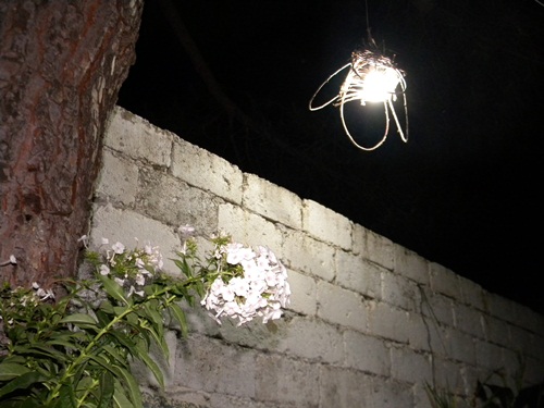 Name:  DSCN7748.JPG
Views: 1064
Size:  69.6 KB