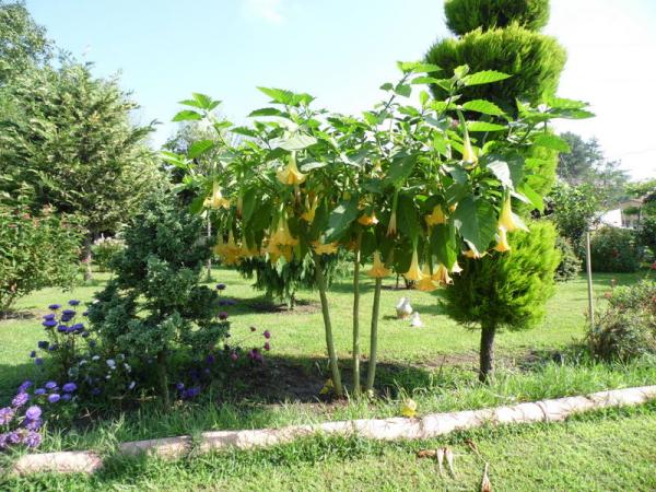 Name:  041-114.jpg
Views: 961
Size:  72.7 KB