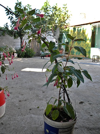 Name:  DSCN7919.JPG
Views: 623
Size:  66.8 KB