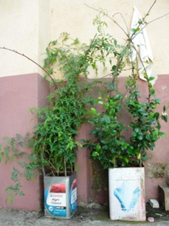 Name:  DSCN7930.jpg
Views: 608
Size:  26.8 KB