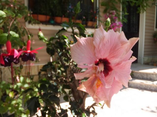 Name:  DSCF9039.jpg
Views: 309
Size:  41.6 KB