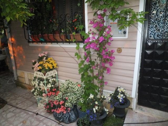 Name:  DSCF9071.jpg
Views: 304
Size:  53.9 KB