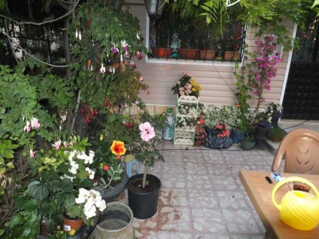 Name:  DSCF9077.jpg
Views: 528
Size:  61.0 KB