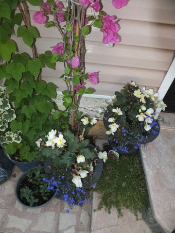 Name:  DSCF9084.jpg
Views: 276
Size:  69.5 KB