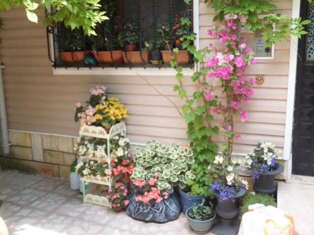 Name:  DSCF9125.jpg
Views: 294
Size:  53.9 KB